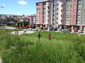 volontari di Fare Verde ripuliscono Parco dei Pini