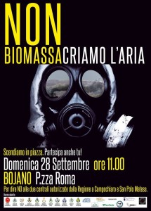 protesta biomasse