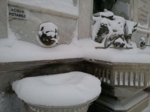 Foto di Alan Di Biase