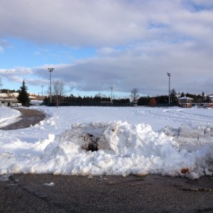 stadio selva piana con neve 8