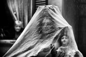 concorso fotografico infiorata