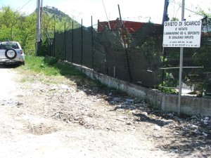 selva piana ripulita