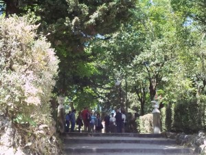 settimana del buon invecchiamento 5