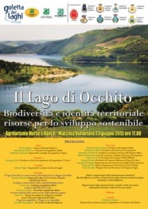 LOCANDINA-GOLETTA-OCCHITO