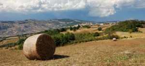 campagna_molise