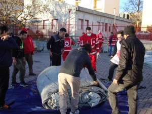 allestimento campo migranti (3)