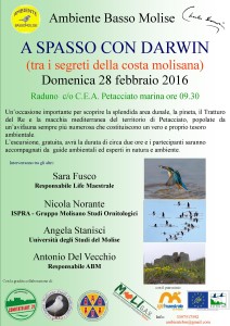 A SPASSO CON D tra i segreti(1)