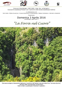 Locandina La Forra nel Cuore  3 aprile- HD