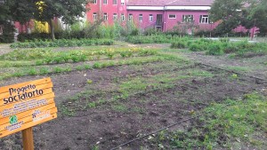 Il progetto 'Socialorto'