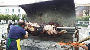 13227158_1732991666959286_3840537038485071482_n