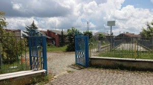 13419048_10209876027606528_2124853429315015696_n