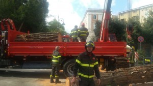 whatsapp-image-2016-10-09-at-11-31-38