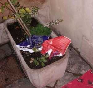 whatsapp-image-2016-12-08-at-17-12-36