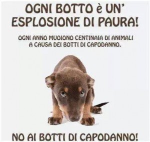botti-capodanno