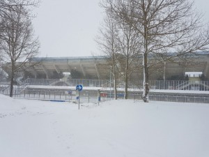 stadio neve