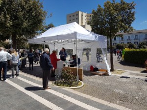 Il seggio allestito in Piazza Municipio a Campobasso