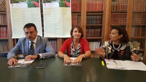 20429916_1792810281029242_7667312812014370063_n