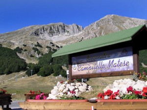 Campitello