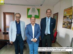 Viola Torchio Leccisi