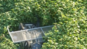 L'auto precipitata dal viadotto