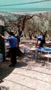 marijuana rotello carabinieri