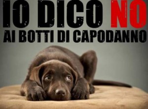 animali_preveniamo_botti_capodanno