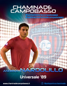 Andrea Nardolillo